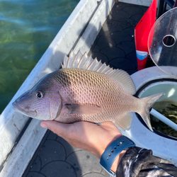 Florida Fish Invaders Charters
