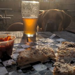 a dog and a beer on a table a dog and a beer on a table