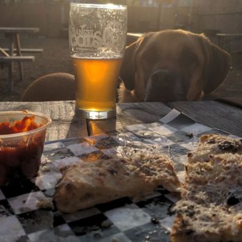 Strange Roots Experimental Ales - a dog and a beer on a table - Pizza Near Me - New Kensington, Pennsylvania Strange Roots Experimental Ales - a dog and a beer on a table - Pizza Near Me - New Kensington, Pennsylvania
