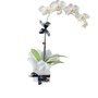 Photo of All's Rosy Florist
