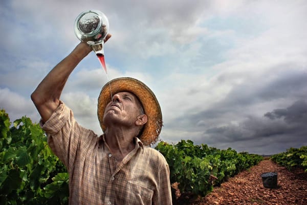 Rioja Wine Tours by null