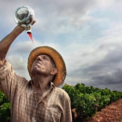 Rioja Wine Trips - Meet the winegrowers