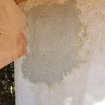 Budget Bee Services - Pest Control Near Me - Granada Hills, California Budget Bee Services - Pest Control Near Me - Granada Hills, California