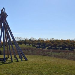 Albion Orchards & Country Market - Views