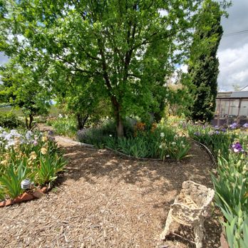 Nola's Iris Garden - Garden/seating - Nurseries & Gardening Near Me - San Jose, California Nola's Iris Garden - Garden/seating - Nurseries & Gardening Near Me - San Jose, California