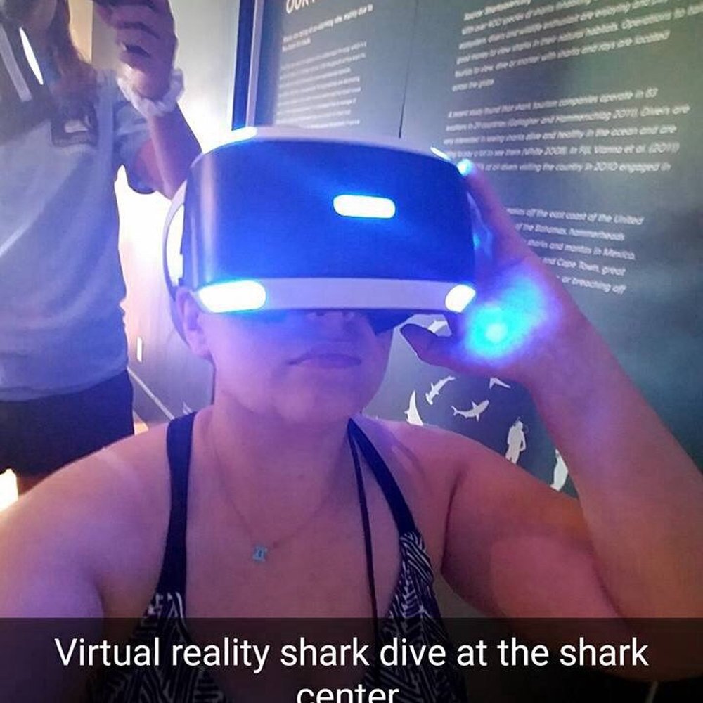 AWSC Shark Center Chatham - Community Service/Non-Profit Near Me - Chatham, Massachusetts