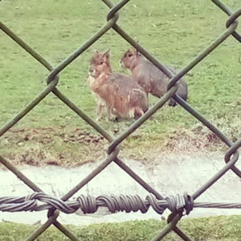 Golders Hill Park - Parks Near Me - London, XGL Golders Hill Park - Parks Near Me - London, XGL