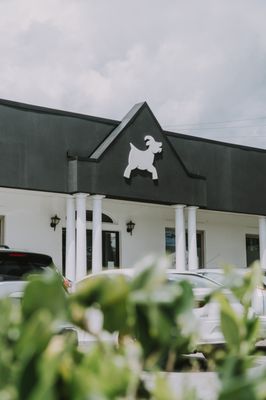 Lucky Goat Coffee by null