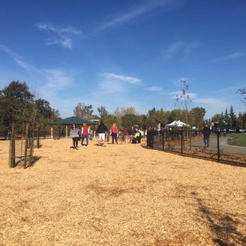 Cubby's Dog Park At Bernal - Lots of space to run and play - Dog Parks Near Me - Pleasanton, California Cubby's Dog Park At Bernal - Lots of space to run and play - Dog Parks Near Me - Pleasanton, California