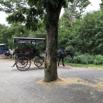 Killarney Jaunting Cars Tangney Tours - Tours Near Me - Killarney, Kentucky