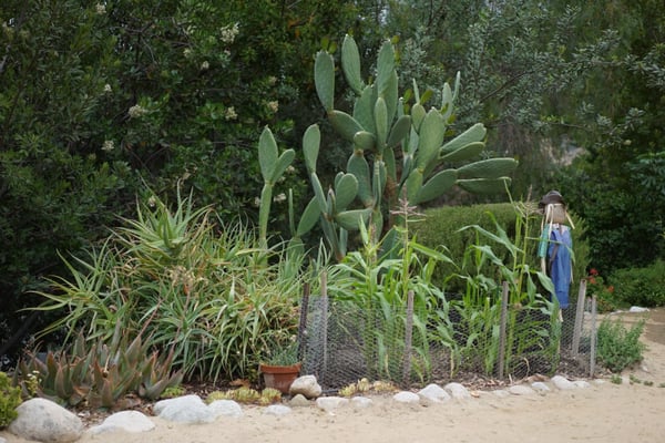 Reyes Adobe Historical Site by null