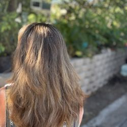 Fantastic Sams Hair Salons - Cut, color and highlights