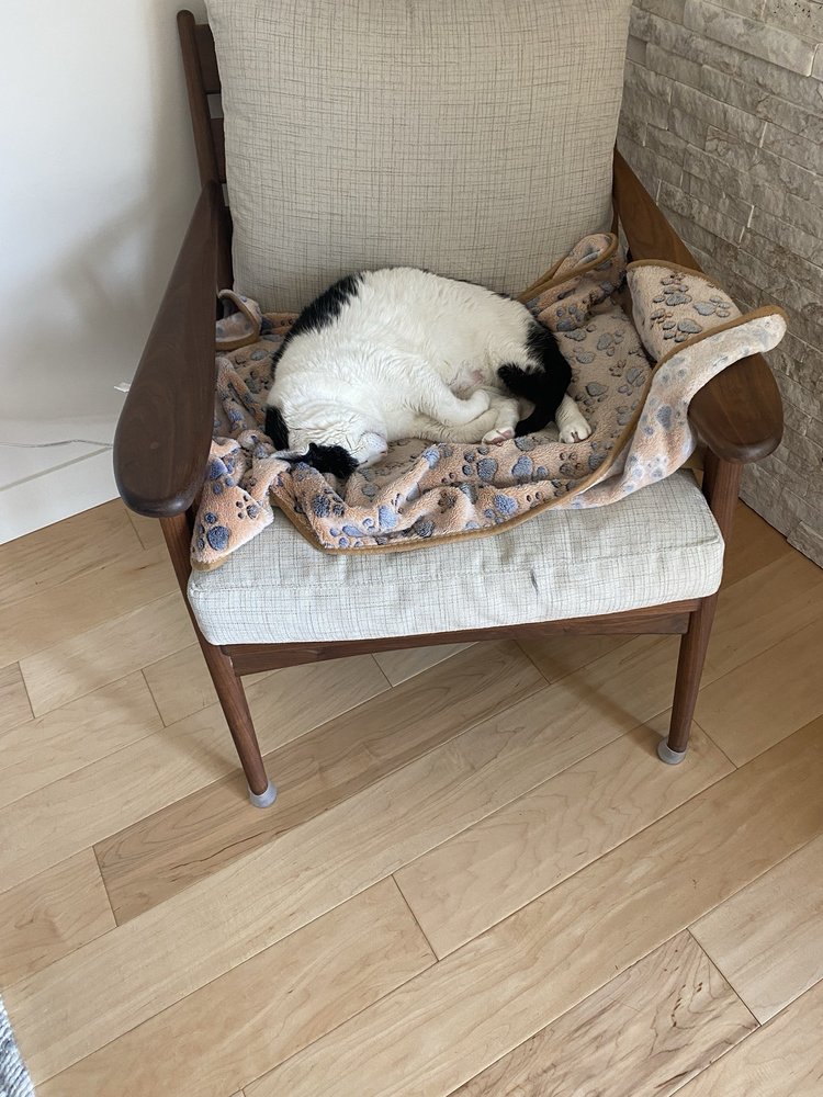 Pet Department Store