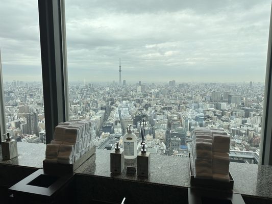 Oriental Lounge by null