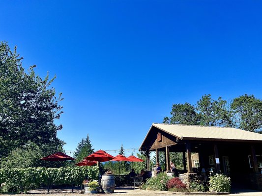 Kramer Vineyards by null