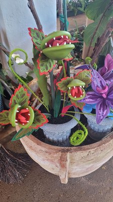 Imua Family Services