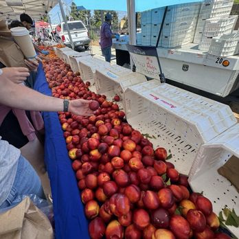 MOUNTAIN VIEW FARMERS’ MARKET - Updated February 2026 - 867 Photos
