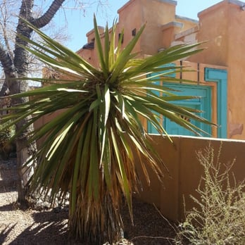 Old Town Albuquerque - Old Town - Shopping Centers Near Me Old Town Albuquerque - Old Town - Shopping Centers Near Me