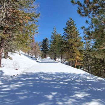 Mill Peak Trail - Hiking Near Me