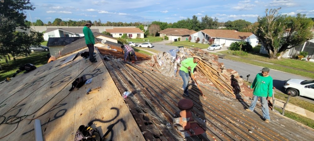 Slide of Roof With Joey
