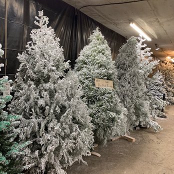 Silveyville Christmas Tree Farm - Christmas Trees Near Me - Dixon, California Silveyville Christmas Tree Farm - Christmas Trees Near Me - Dixon, California