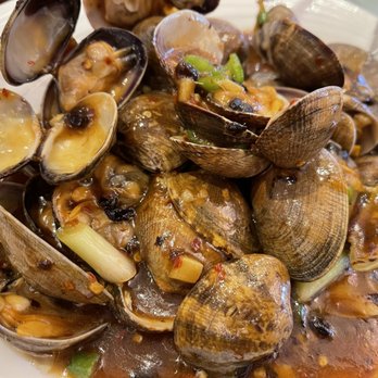 Ming Seafood Restaurant - Clams in blank bean sauce - Seafood Near Me - Quincy, Massachusetts Ming Seafood Restaurant - Clams in blank bean sauce - Seafood Near Me - Quincy, Massachusetts