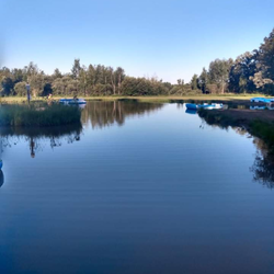 Ringler Family Campground