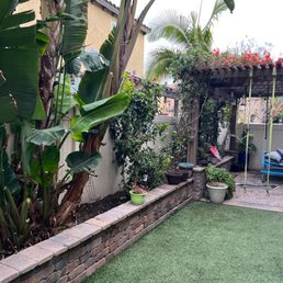 Cut back palms, bushes, cleaned the entire flower bed out, cleaned the turf and patio of all leaves and debris Cut back palms, bushes, cleaned the entire flower bed out, cleaned the turf and patio of all leaves and debris