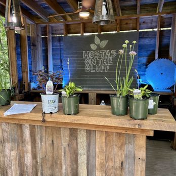 Hostas on the Bluff - Check out area. - Nurseries & Gardening Near Me - Fairview Heights, Illinois