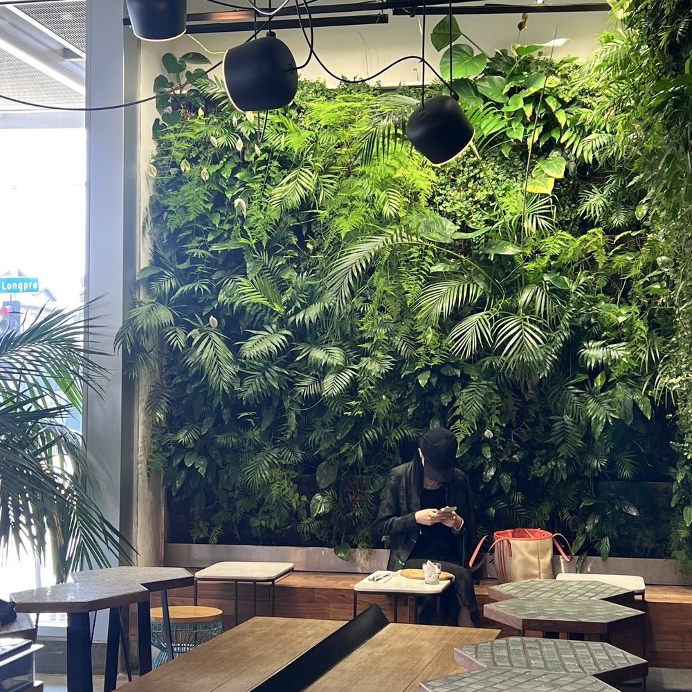 Black Canvas Coffee - Chill vibes - Coffee & Tea Near Me - Los Angeles, California Black Canvas Coffee - Chill vibes - Coffee & Tea Near Me - Los Angeles, California