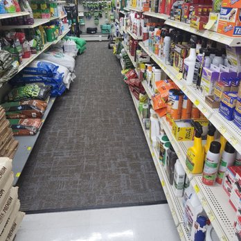 A Just Dazzling HandyMan - Lay down carpet tile - Handyman Near Me