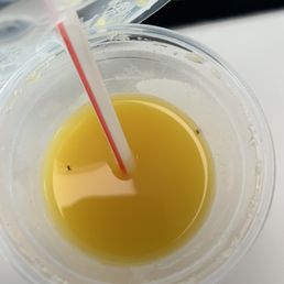Flies in OJ.