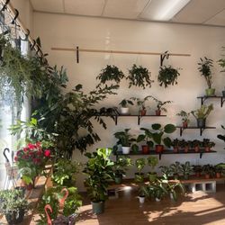 The Foliage Room