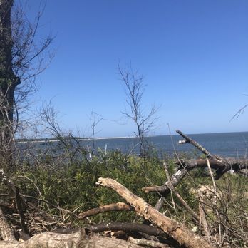 Big Talbot Island State Park - Parks Near Me - Jacksonville, Florida Big Talbot Island State Park - Parks Near Me - Jacksonville, Florida