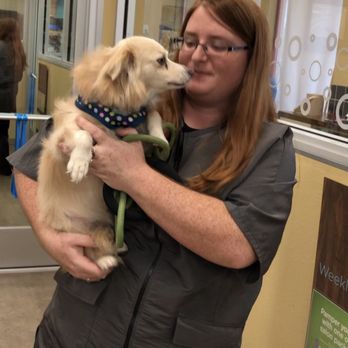 Petco - Katie w/my girl Scoutie - Pet Training Near Me - Lemon Grove, California