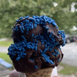 Delicious Chocolate Madness with 'Signature Blue' Sprinkles yum Delicious Chocolate Madness with 'Signature Blue' Sprinkles yum