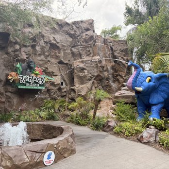 Rainforest Cafe - American Near Me - Lake Buena Vista, Florida Rainforest Cafe - American Near Me - Lake Buena Vista, Florida