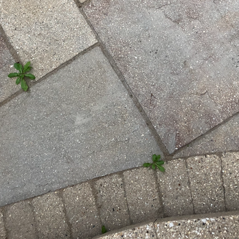 Rent A Gardener - Landscaping Near Me - Aurora, Illinois