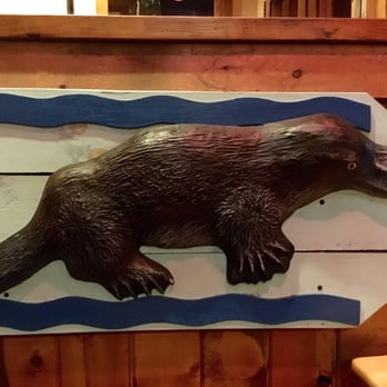 Outback Steakhouse - Platypus in waiting area :) - Steakhouses Near Me - Bothell, Washington