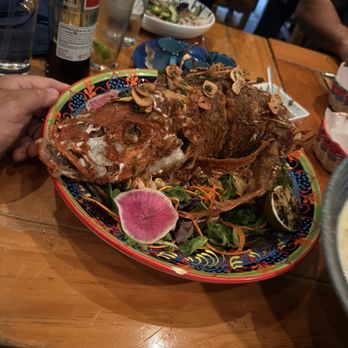 La Fisheria - Seafood Near Me - Houston, Texas La Fisheria - Seafood Near Me - Houston, Texas