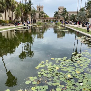 Lily Pond - Parks Near Me - San Diego, California Lily Pond - Parks Near Me - San Diego, California
