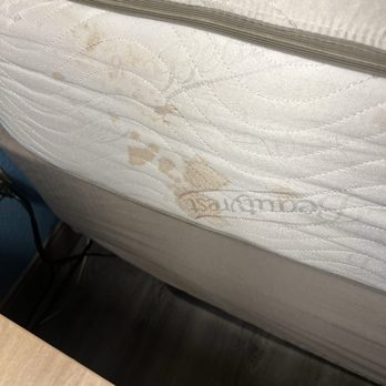 Days Inn by Wyndham Lathrop - Blood stains - Hotels Near Me - Lathrop, California