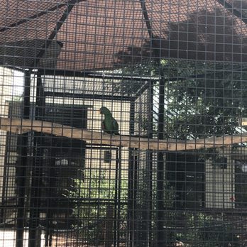 Amarillo Zoo - Zoos Near Me - Amarillo, Texas