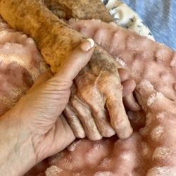 Amada Senior Care