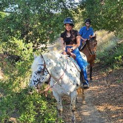 Bluewater ranch - Horseback riding on the trail