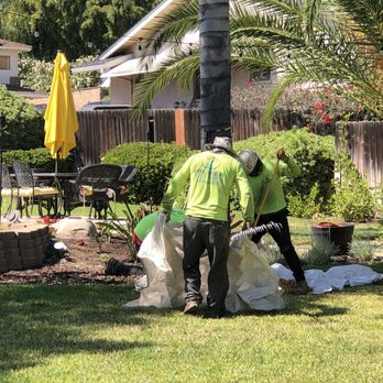 Premier Tree Experts - Cleaning up tree trimmings. - Tree Services Near Me - Orange, California
