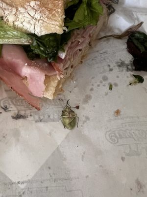 Curtis Park Delicatessen by null