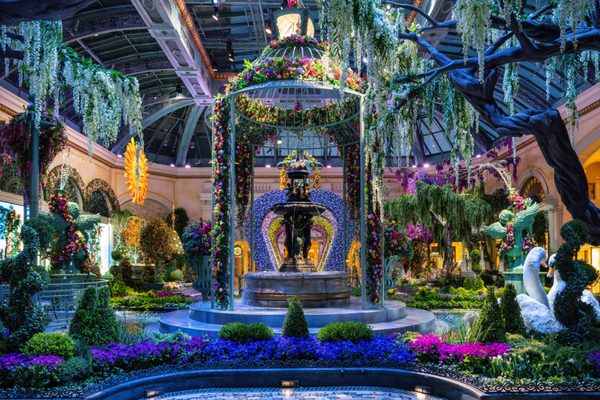 Bellagio Hotel & Casino by null