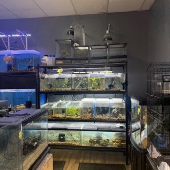 The Bird Spot - fishes ... - Local Fish Stores Near Me - Las Vegas, Nevada