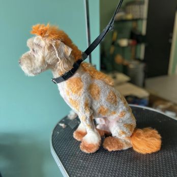 Luxe Pet Parlor - Pet Groomers Near Me Luxe Pet Parlor - Pet Groomers Near Me